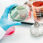 Laboratorio moderno 1